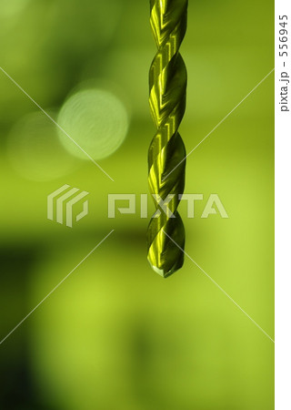 パワードリル 556945