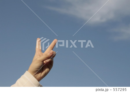 青空にVサイン 557295