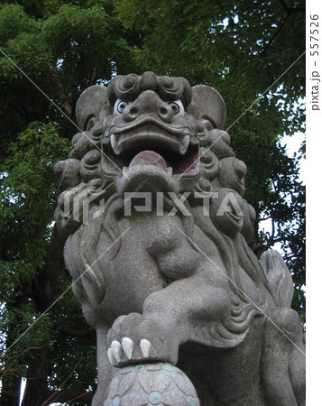 よう参られた！ 557526