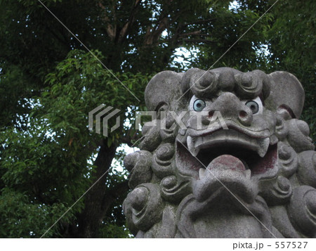 よう参られた! よう参られた! 557527