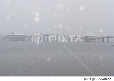鶴の舞橋 雪降る 鶴の舞橋 雪降る 558022