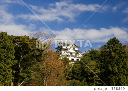 彦根城遠景 558849