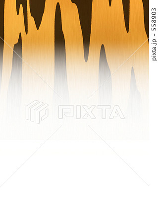 2010 寅　年賀状　イラスト　素材　画像　毛並　毛皮 558903