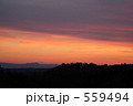 暮れなずむ 559494