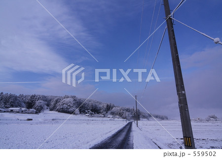 雪景色 雪景色 559502