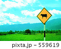 サイン サイン 559619