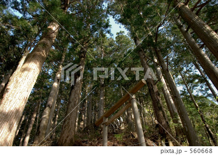 山頂への道 560668