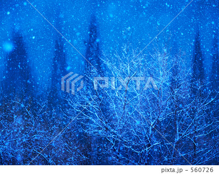蒼い冬 蒼い冬 560726