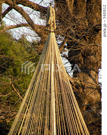 雪囲い 雪囲い 560912