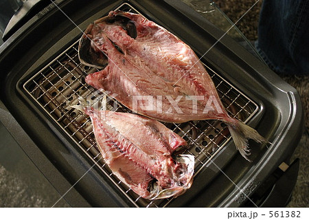鯵の干物 鯵の干物 561382