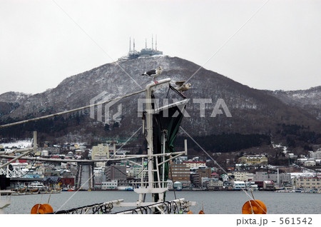 函館散歩・函館山と漁港 561542