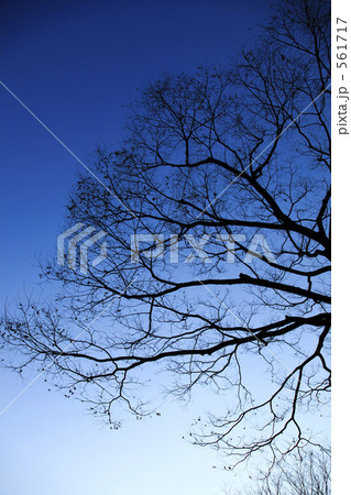 歳末の空 歳末の空 561717