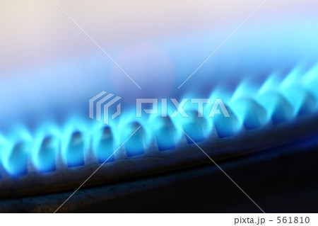 ｆ1287 561810