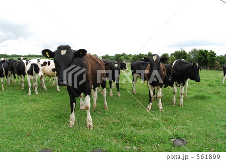 2009年！牛！ 561899