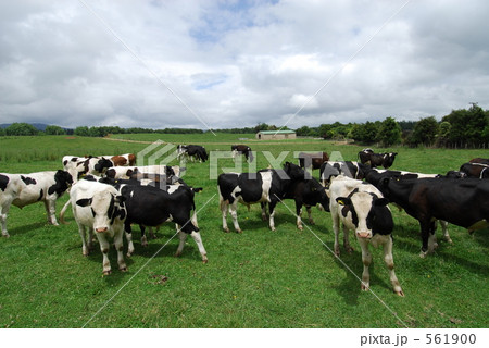 もぉ~~っと~ もぉ~~っと~ 561900