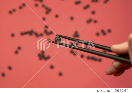 丹波黒豆をはさむ 562144