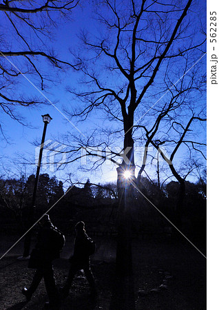 井の頭公園で散歩 井の頭公園で散歩 562285