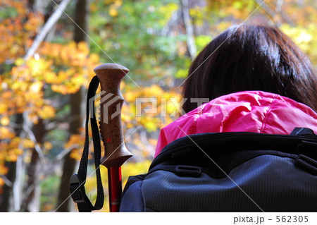 ハイキングで休憩する女性 562305