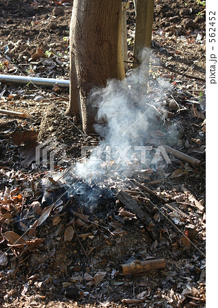 焚き火 562452