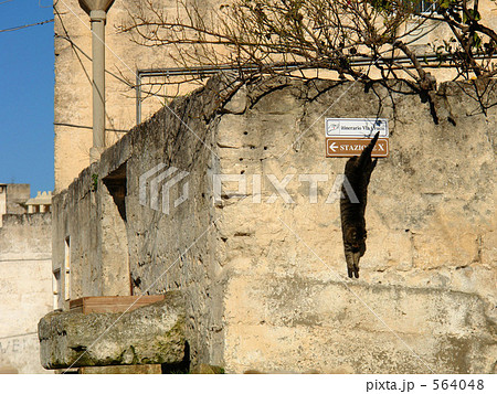 決定的瞬間 564048