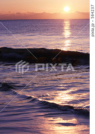 初日の出 564237