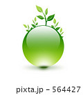 564427