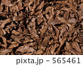 枯葉 565461