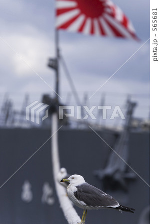 カモメの水兵さん 565681