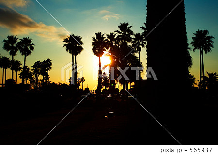 サンセット・・LA風（逗子）　 565937