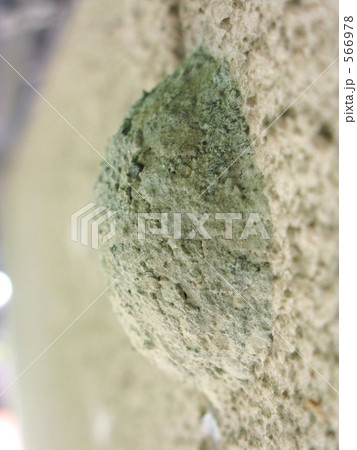 スズバチの巣 566978