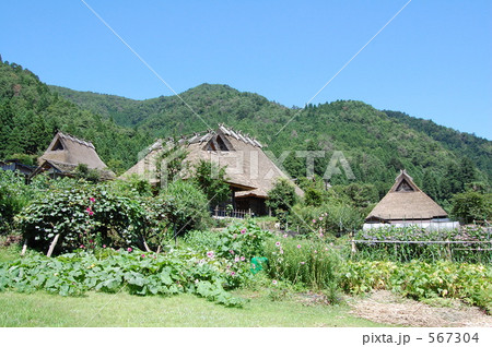 京都美山の茅葺き民家 567304
