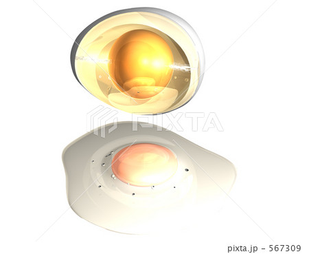 デジタルエッグ3 デジタルエッグ3 567309