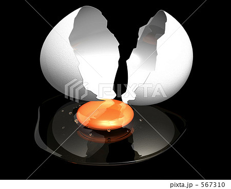 デジタルエッグ2 567310