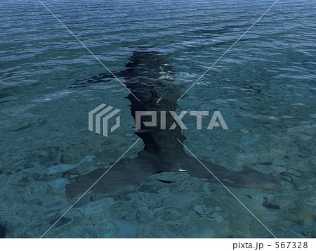 クジラ5 567328