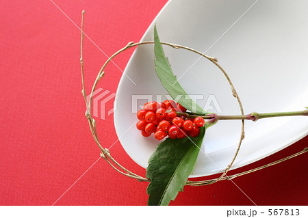 千両 千両 567813