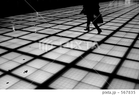 monochrome 567835