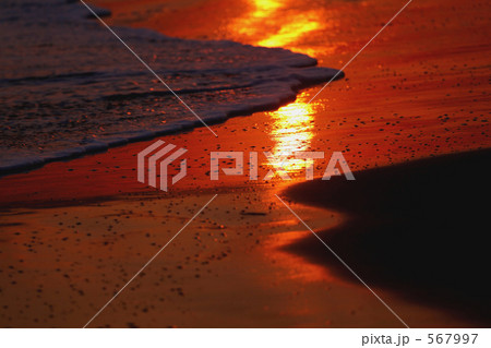 落日の渚 567997