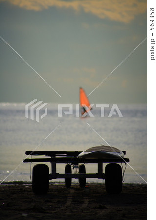 海辺のワンシーン 569358