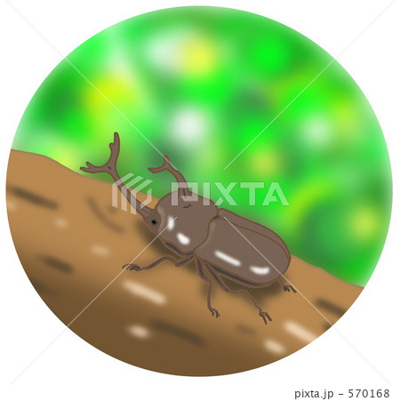 カブト虫 570168
