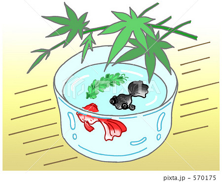 金魚鉢 570175