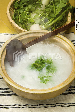 七草（粥） 570488