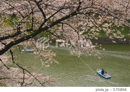 千鳥ヶ淵の桜(ボートの2人) 千鳥ヶ淵の桜(ボートの2人) 570866