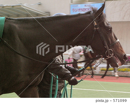 アイアムレジェンド 571099