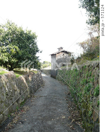 みかん山の農道 みかん山の農道 571124