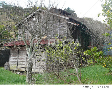 みかん山の農作業小屋 みかん山の農作業小屋 571126