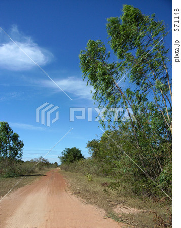 青空の下の一本道 571143