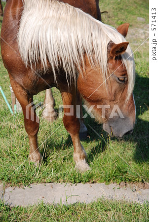 かんだちめ 571413