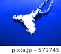 ホエール 571745