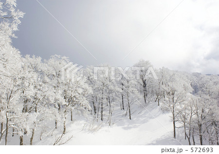 雪景色 572693