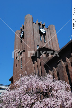 東大安田講堂と桜 東大安田講堂と桜 572709